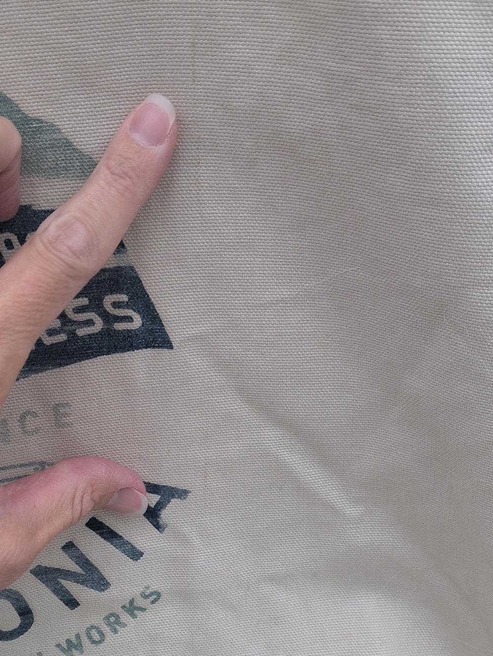 Patagonia Canvas Tote Bag in Cream with Blue Graphic - Picture 4 of 11